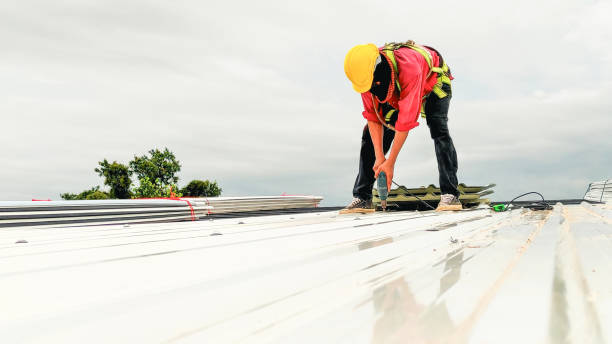 Best Cold Roofs  in North Pole, AK